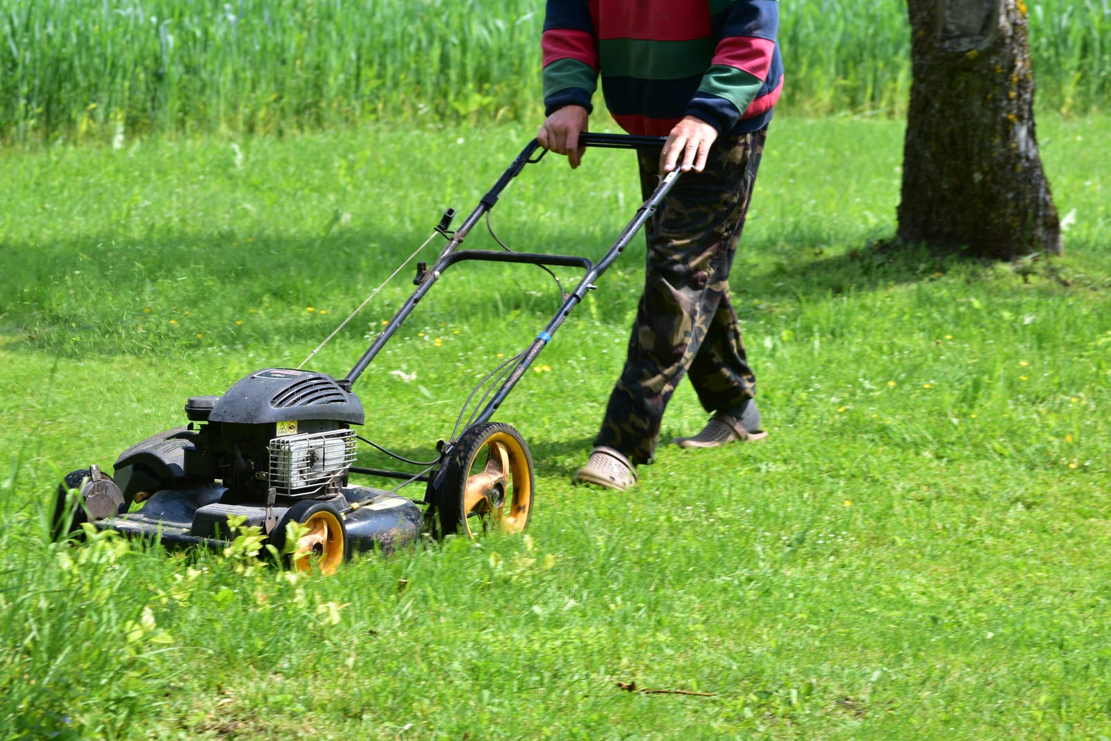 KSM — profesionalno održavanje zelenih površina